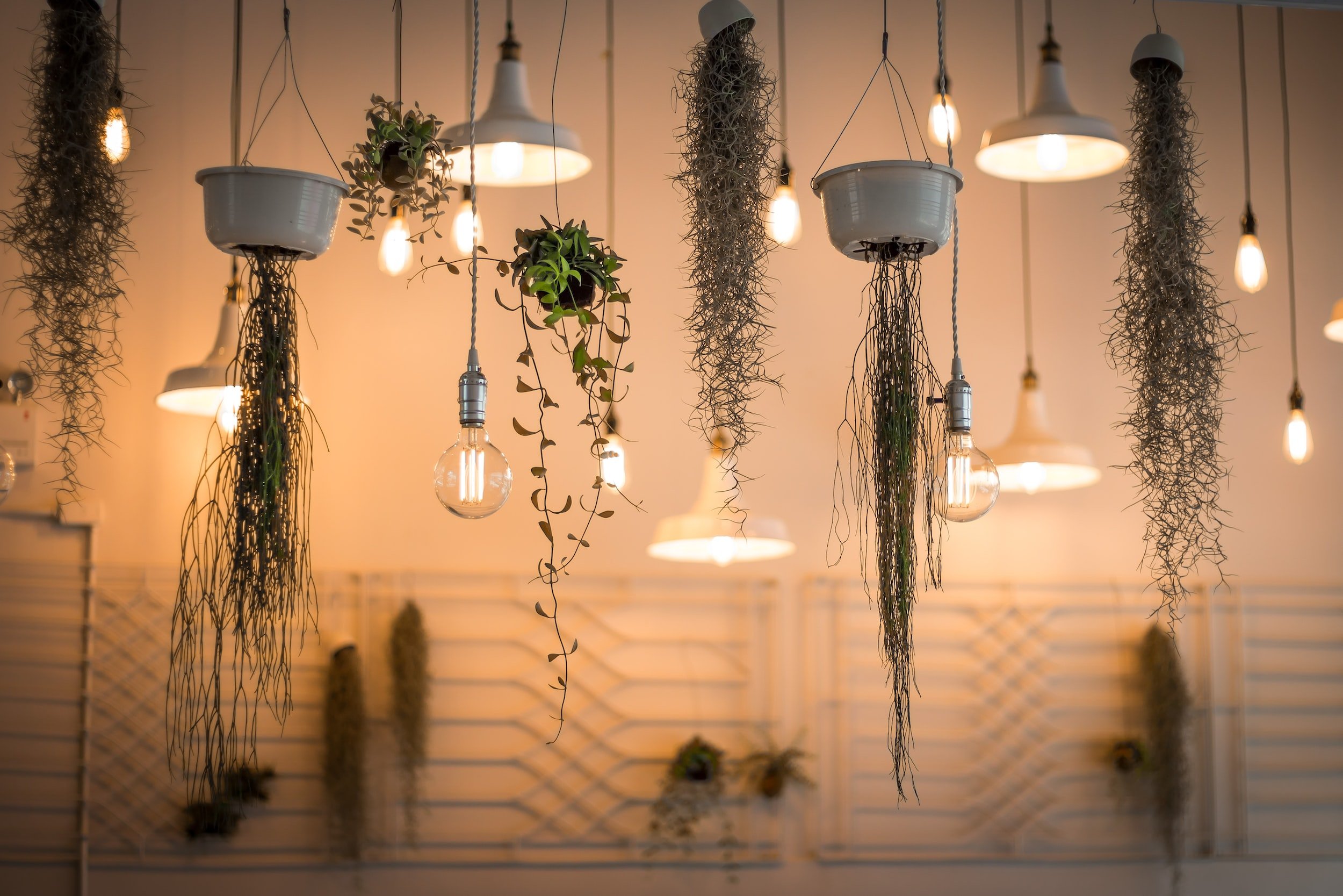 Ambient interior lighting
